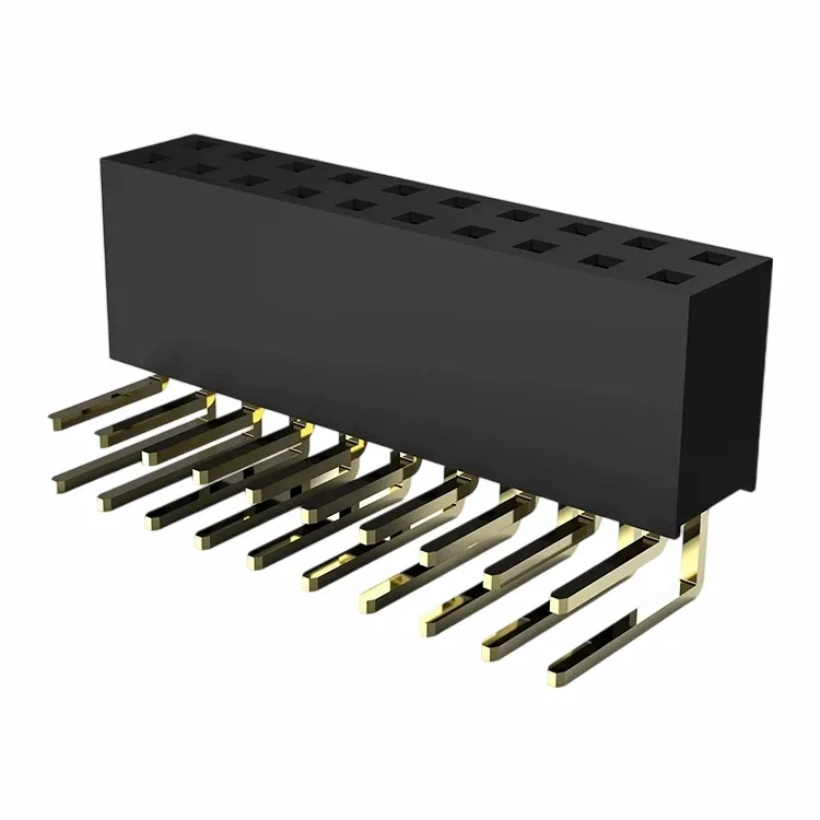 2,54 mm en-tête femelle Double Row Derg angle Type Y